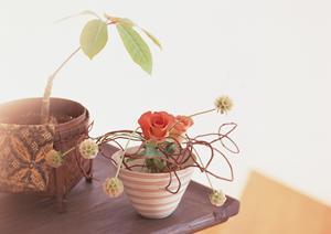 独自の受注スタンスで出展を成功させるデザイン事務所